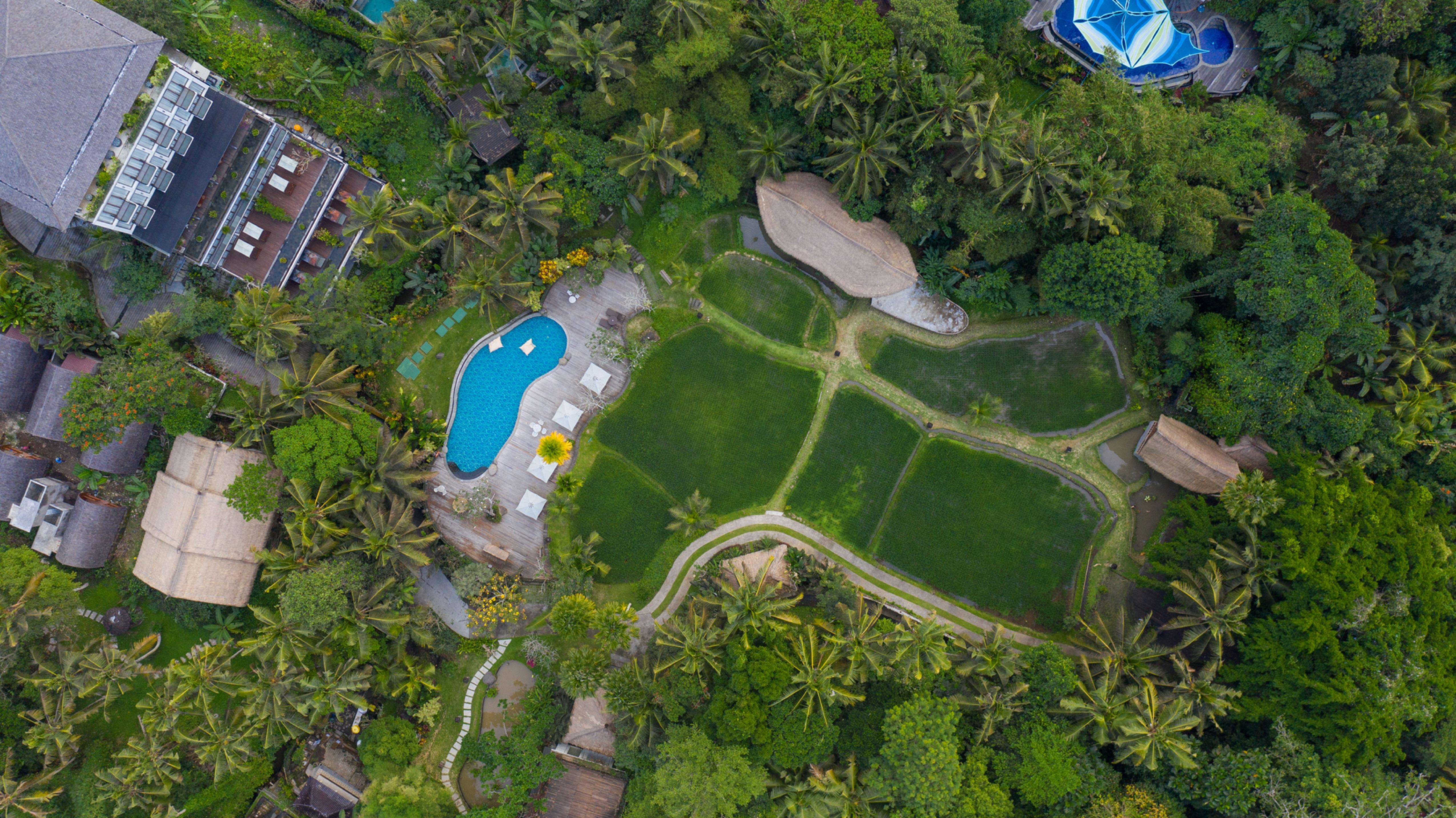 Plataran Ubud Hotel & Spa - Chse Certified Exteriör bild